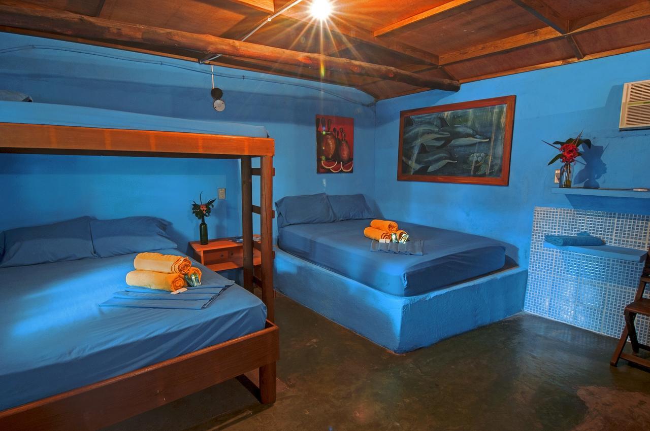 Hotel El Delfin มอนเตริโก ภายนอก รูปภาพ